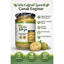 Urla Karya Urla Coğrafi Işaretli Sakız Çanak Enginar Konservesi - 600 gr - 6 Adet
