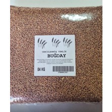 Alpaysan Yemlik Buğday 4kg