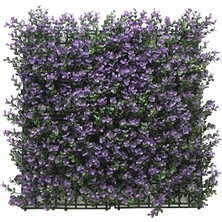 Koçtaş Yaprak Çit Eflatun 50*50