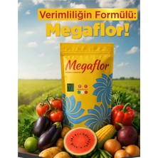Mugavero Megaflor Mix Combi Yaprak Gübresi 1 kg - Bor, Bakır, Demir, Mangan, Çinko Katkılı Mikro Element Karışımı