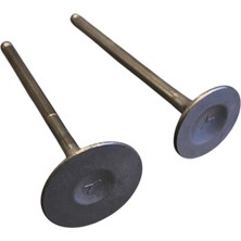 Honda Cbf 150 Subap Takımı