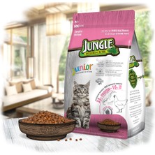 Jungle 1,5 kg Tavuklu Yavru Kedi Maması Kaliteli Protein ve Omega Yağ Asitleri İçerir