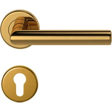 Condi Collection Condı 101 Pvd Mat Altın Rozetlı Kapı Kolu