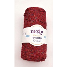 Angel Çanta Aksesuar Moly Yarn 200 gr Simli Polyester Makrome NO:105-1