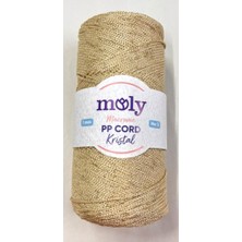 Angel Çanta Aksesuar Moly Yarn 200 gr Simli Polyester Makrome No:48