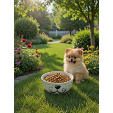 Evin Bizden Köpek Mama ve Su Kabı 13 cm Seramik Mama ve Su Kabları 1 Adet