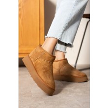 rasputin Mini Taba Süet Içi Kürklü Kalın Taban Kadın Bot