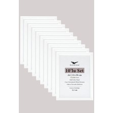 Raven Art Studio 10'lu Set - A4 - 21CM x 30CM Hafif  Arka Panel 300 Mikron Şeffaf Pleksiglas Oval Beyaz Fotoğraf Çerçevesi