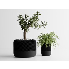 3D Snaxx Zarif Tasarımlı Dekoratif Bitki Saksısı – Ev ve Ofis Için Şık, Dayanıklı ve Modern Tasarım”