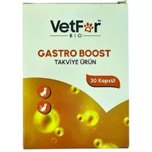 Vetfor Gastro Boost 30 Kapsül Kedi & Köpek Ishal ve Sindirim Destekleyici