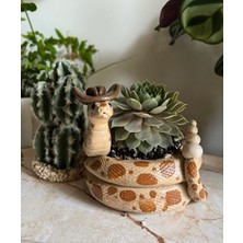 Bi'şeyler Concept El Yapımı Seramik Kovboy Yılan Figürlü Dekoratif Sukulent ve Kaktüs Saksısı