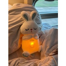 DMR Accessoire Nefes Alan Uyku Arkadaşı Tavşan Sesli Müzikli Karışık Renk