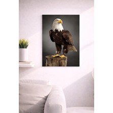 Hobishop EAGLE31 Tasarım Mdf Tablo (27X18)