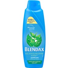 Blendax Isırgan Özlü Şampuan 500 ml 4 Adet
