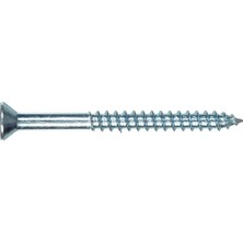 SHC4200 The Group 40078 20 cm x 5,8 cm Düz Başlı Phillips Ahşap Vida, 100&APOS;LÜ Paket