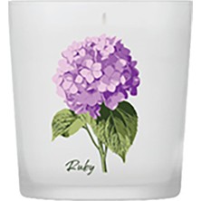 Ruby Kokulu Mum Ortanca 3 Adet