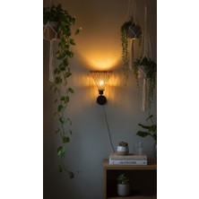 Rattam Noble Rattan Aplik - Doğal Çam Kabuğu Boyalı El Yapımı Duvar Lambası