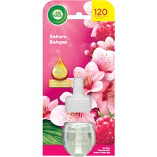 Air Wick Elektrikli Yedek Sakura Bahçesi 19 ml 3 Adet