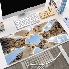 Colorix Carpet Mouse Pad Büyük Boy Xl 40X90 cm No: 3256