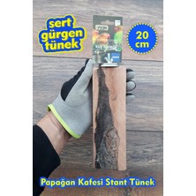 Vixpet Venty (Gürgen) Papağan Tüneği 20 cm Jako Amazon Alexander Sultan Muhabbet Konur Monk Lori Forpus Senegal - T530