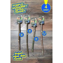 Vixpet Venty 4'lü Doğal Papağan Tünek Seti | Dal Tünek | Forpus, Muhabbet, Sevda, Cennet - M617