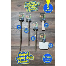 Vixpet Venty 5'li Doğal Papağan Tünek Seti | Kumlu Tünekli | Forpus, Muhabbet, Sevda, Cennet - M621