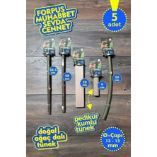 Vixpet Venty 5'li Doğal Papağan Tünek Seti | Kumlu Tünekli | Forpus, Muhabbet, Sevda, Cennet - M623