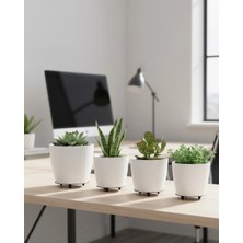 Moresun Buğz 4’lü 3D Beyaz Minimal Dekoratif Vazo Ayaklı Saksı Takımı