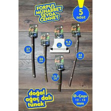 Vixpet Venty 5'li Doğal Papağan Tünek Seti | Stant Tünekli | Forpus, Muhabbet, Sevda, Cennet - M628