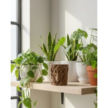 Alvo Store Buğz 3D Ağaç Gövdesi Formlu Yüz Figürlü Dekoratif Saksı Sanatsal Tasarım Vazo