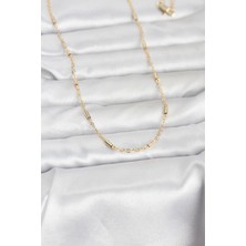 Alvo Store Buğz cm 14K Gold Renk Bar Zincir Model 60 cm Kadın Kolye