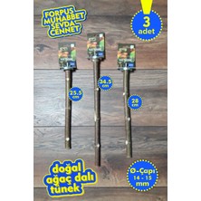 Vixpet Venty 3'lü Doğal Papağan Tünek Seti | Dal Tünekler | Forpus, Muhabbet, Sevda, Cennet - M631