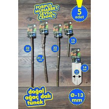 Vixpet Venty 5'li Doğal Papağan Tünek Seti | Stant Tünekli | Forpus, Muhabbet, Sevda, Cennet - M629