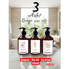 Özbience Amber Cam Görünümlü Plastik Sabunluk ve Şişe Seti, 3’lü, 500 ml