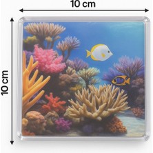 Özbience Pratik 2'li Gider Kapak Seti, Koku Önleyici ve Temiz Kullanım