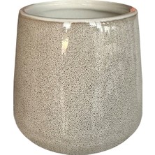 Özbience Renkli ve Şık Diş Fırçalık, Banyo ve Lavabo Dekorunuza Uyum Sağlar