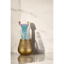 Özbience Tezgah Üstü Altın Eskitme Diş Fırçası Standı, Şık ve Fonksiyonel Tasarım