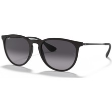 Ray-Ban Ray Ban RB4171 622 54 Unisex Güneş Gözlüğü Gümüş Çerçeve Degrade Füme Cam ile Şık Tasarım