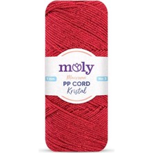 Angel Çanta Aksesuar Moly Yarn 200 gr Simli Polyester Makrome NO:105
