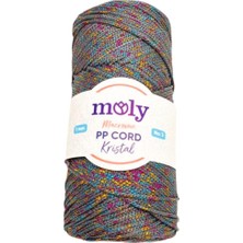 Angel Çanta Aksesuar Moly Yarn 200 gr Simli Polyester Makrome NO:1279