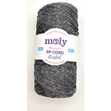 Angel Çanta Aksesuar Moly Yarn 200 gr Simli Polyester Makrome No:41