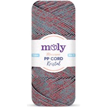 Angel Çanta Aksesuar Moly Yarn 200 gr Simli Polyester Makrome NO:1274