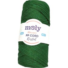 Angel Çanta Aksesuar Moly Yarn 200 gr Simli Polyester Makrome NO:176