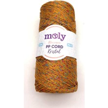 Angel Çanta Aksesuar Moly Yarn 200 gr Simli Polyester Makrome NO:1049