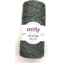 Angel Çanta Aksesuar Moly Yarn 200 gr Simli Polyester Makrome NO:500