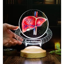 Karaciğer Hepatolog Uzmanına Hediye – Kişiye Özel Gastroenteroloji & Hepatoloji Doktoru LED Lamba, Karaciğer Tasarımlı Tıp Hediyesi