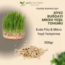 Pauls Micro Farm Atalık Siyez Buğdayı 500 gr