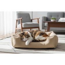 Brt Pet Kedi Yatağı 60X45 cm Yıkanabilir Krem Tonlarda Küçük Irk Köpekler İçin Rahat Kullanım