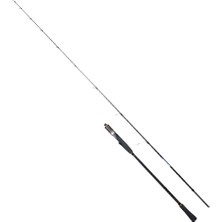 Ryuji Ocean Soul Fuji 180 cm 20-60 gr Slow Jig Kamış