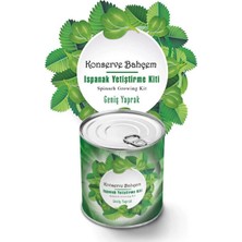 VeraGlobe Buğz Yumurcak Shop® Konserve Bahçem Evde Konservede Kolay Ispanak Yetiştirme Kiti
